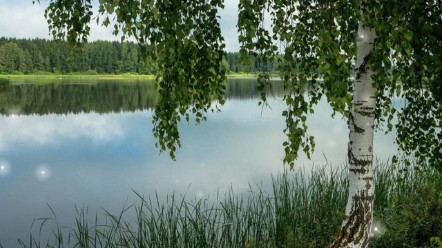 МАТУШКА ЗЕМЛЯ- БЕЛАЯ БЕРЕЗОНЬКА