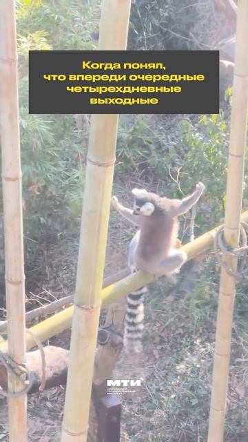 Уже построили планы на ближайшие дни?😁