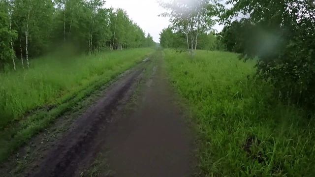 День 500. Погода сказала отдохнуть. Дистанция 11 километров.