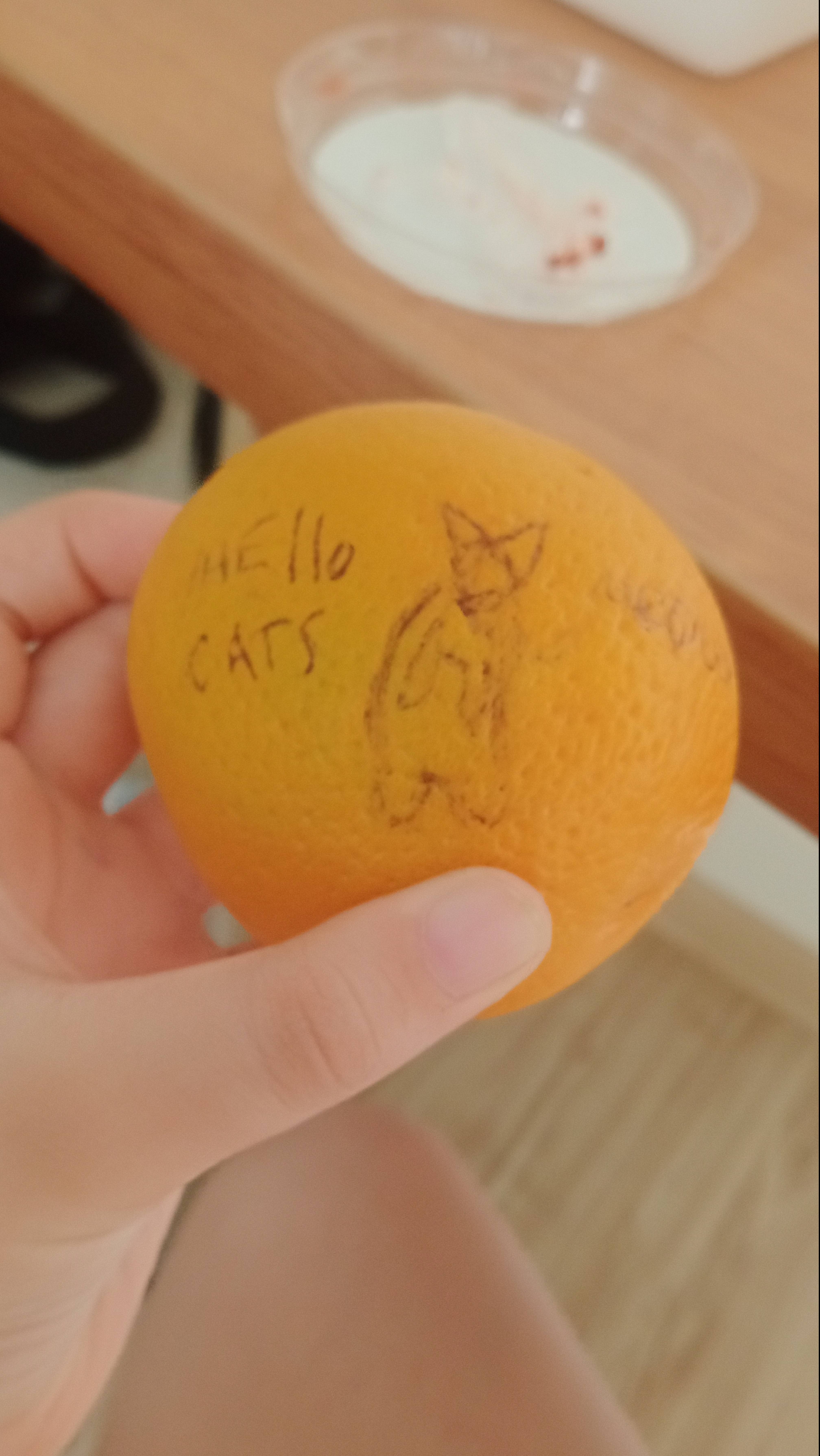 Может это не правда?...