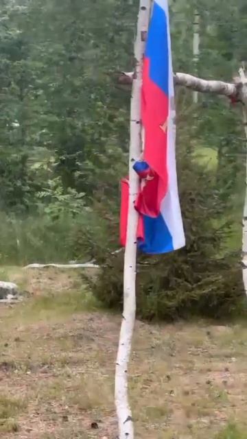 Встретили лесенка рядом с дачей в Новой Москве 🦊