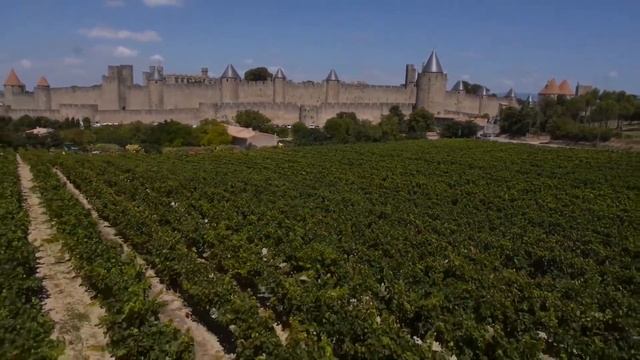 Fortress of Carcassonne   Cite de Carcassonne   France