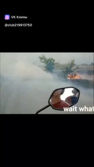 clip-219913750_456239245