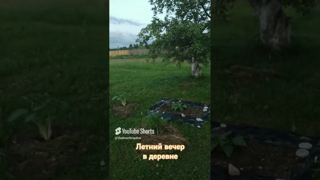 Деревенская вечерняя тишина!!!.mp4