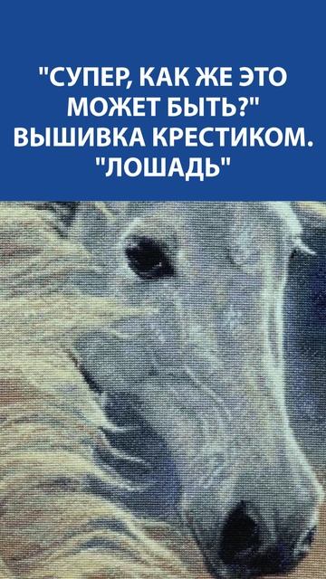 Грация, сила и нежность в каждом крестике… Вышивка "Лошадь", от которой замирает сердце