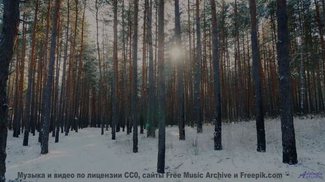 Это видео - как сон, в который хочется верить! - Two ducks on a tree -- Cartouch -- Cartouch