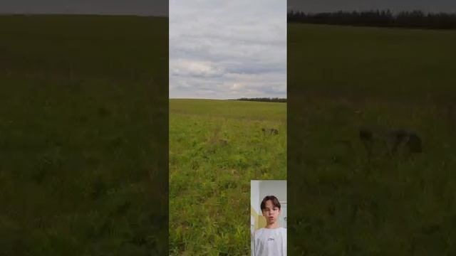 Пять значений не понятных слов  из  произведения Николая Васильевича Гоголя!!!