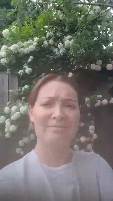 Эх, калина,калина...
