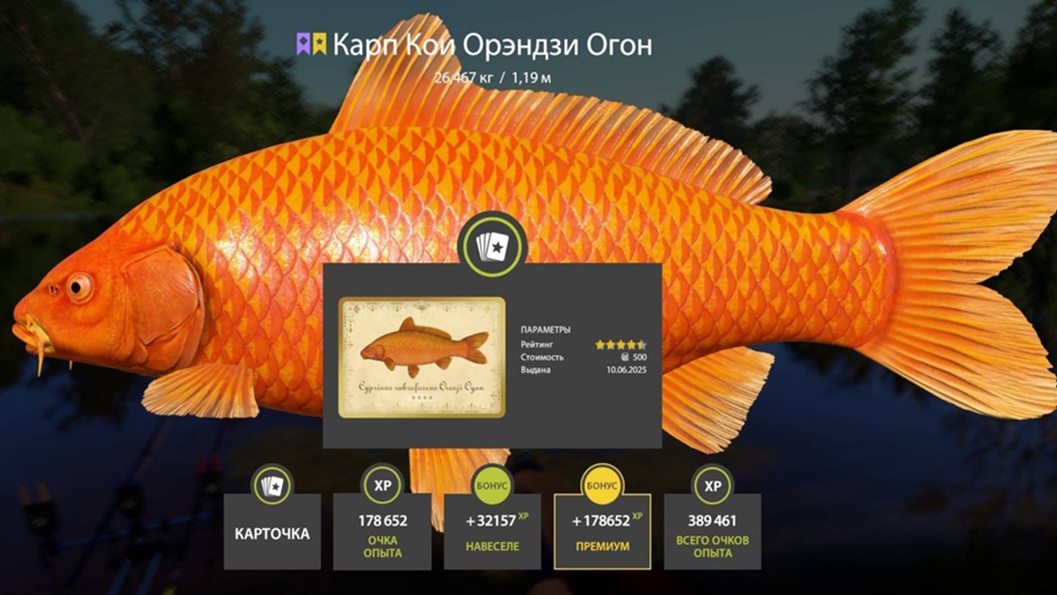 СУПЕР ТОЧКИ НА МЕДНОМ С КОИ И БЕШЕННЫМ ФАРМОМ В НОРМАЛЬНУЮ ТЕМПЕРАТУРУ В РУССКОЙ РЫБАЛКЕ 4 РР4