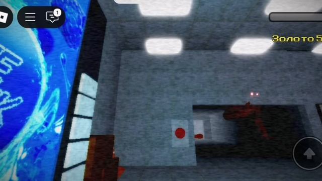 SVID_20250611_134157_1.mp4