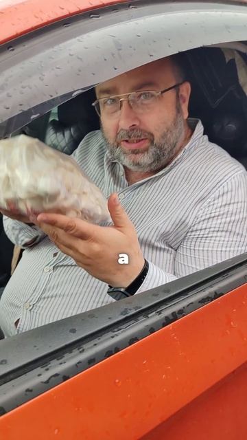 Пельмени
