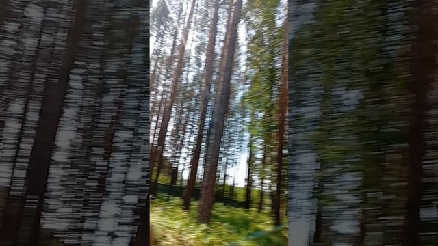 База Отдыха 🚦#2