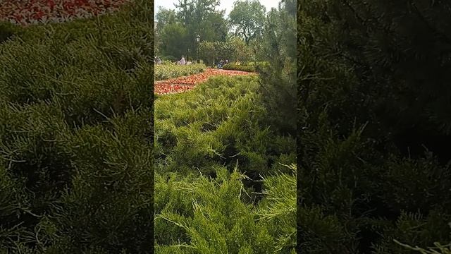 11-06-2025в Александровском саду