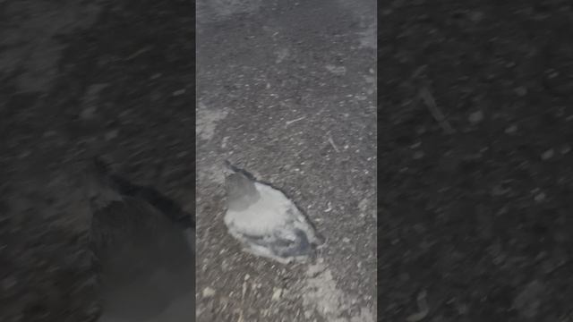 Ты кто среди ночи