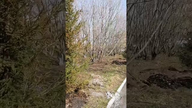015594ca-7bd5-4a8f-909f-90a32bad00f5-watermark (1).mp4 Елена Дружиненко Воркута
