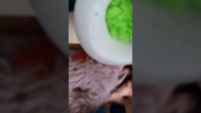 жмяканье