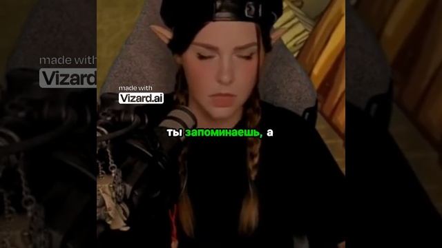 Играем в стихи с котом — необычное развлечение в игре