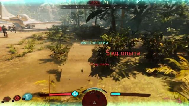 Predator Hunting Grounds.mp4