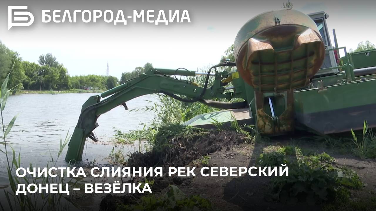 В Белгороде стартовала очистка слияния рек Северский Донец – Везёлка
