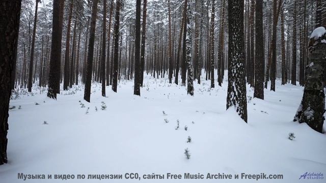Адреналин гор и мощный бит! - Shot -- The Hipshakes -- Live at WFMU on Burn It Down with Nate K, 108