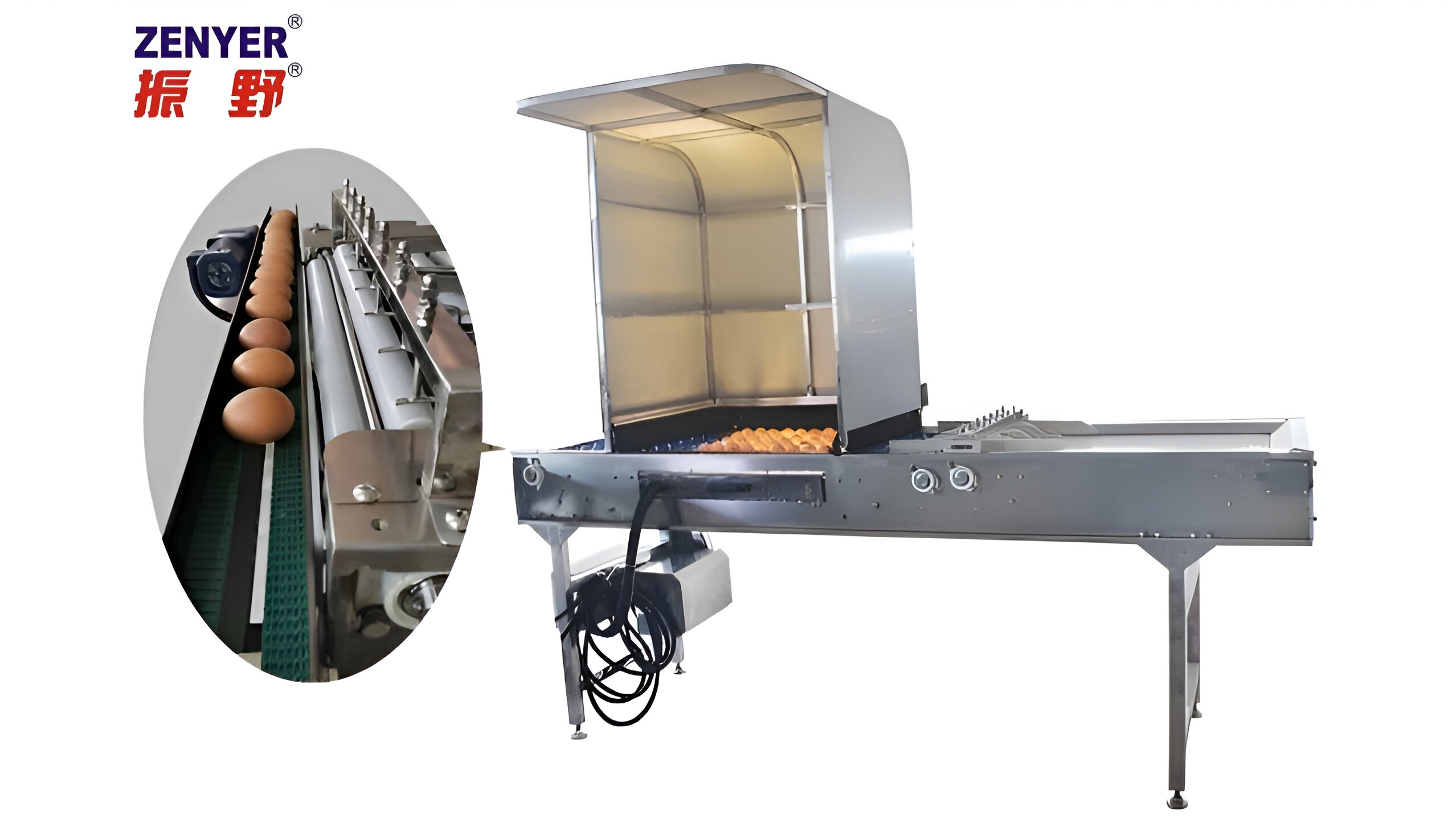ZENYER 605A accumulator with 6-row candling booth