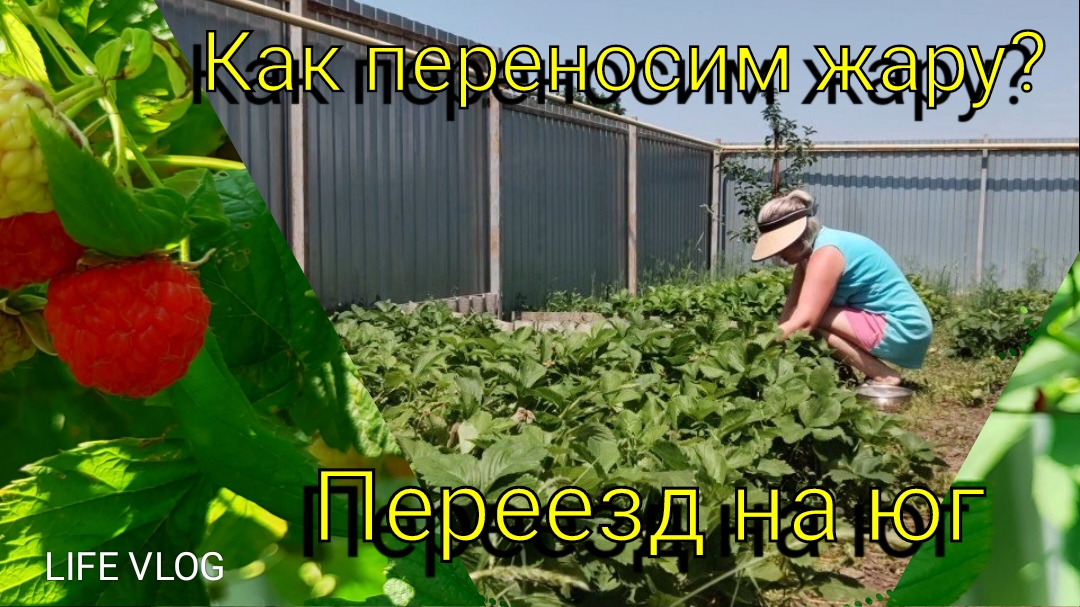 Переезд на ЮГ  🌞 Как переносим ЖАРУ?🫠