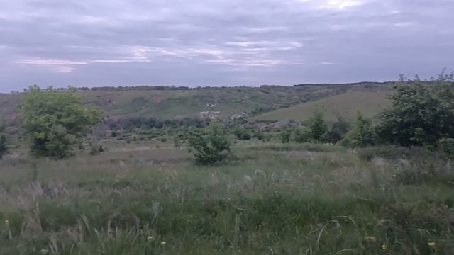 Поляна и природа