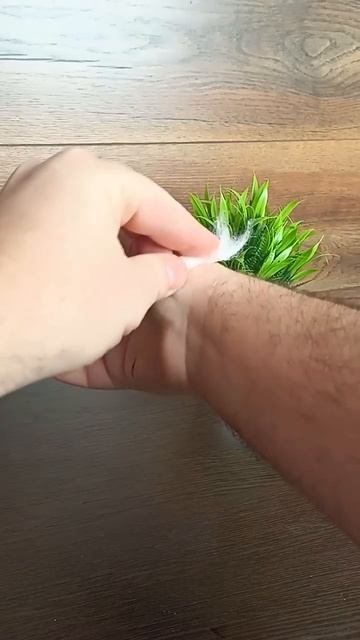 Меня укусил тигр...))