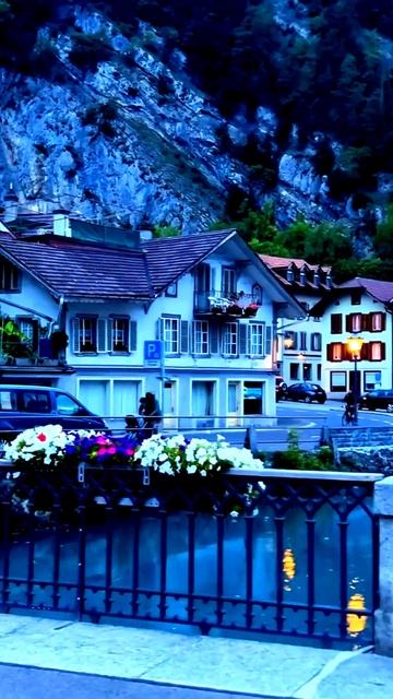 В кадре: самые удивительные события