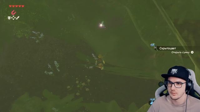 СЮЖЕТ РАЗВИВАЕТСЯ ► The Legend of Zelda: Breath of the Wild ( ЗЕЛЬДА ) Пр