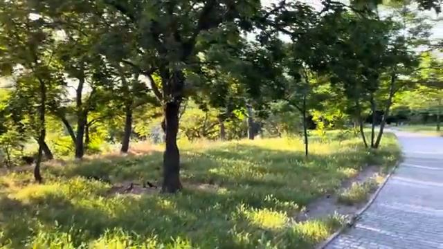 ОДЕССА 11 ИЮНЯ 2025. УКРАИНЦЫ-ЖИВ0Й ЩИТ. ГДЕ МИЛЛИОННАЯ АРМИЯ? СБУ ПРИЗОВУТ. МАСК ДАЛ ЗАДНЮЮ!
