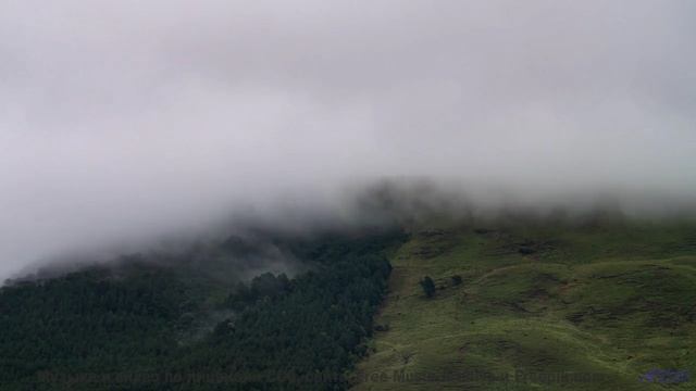 Камера взлетает в небо под этот потрясающий бит - Bodyriders -- Kalbells -- Live at WFMU for Sophist