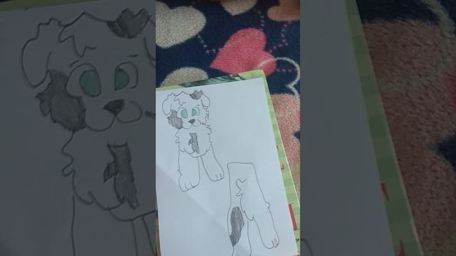 Бублик и Жюля новые  собачки🐕🐶🐕🐶