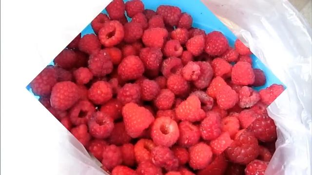Заморозка малины. Интересный способ.