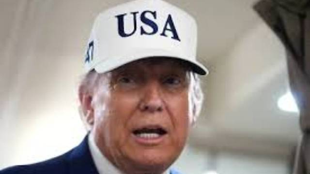 Дональд Трамп о зачинщиках протестов в Лос-Анджелесе