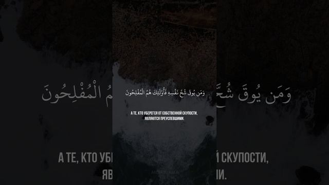 Сура 59я (9-10) Аль-Хашр. Асхат Гиматдинов