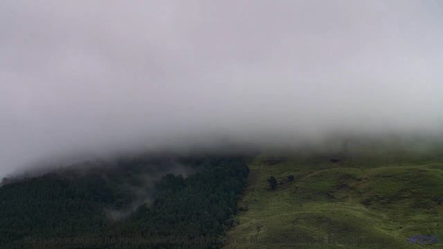 Звуки, используемые для материализации мыслей - это уже реальность! - As Mad as a bag ov Spiders --