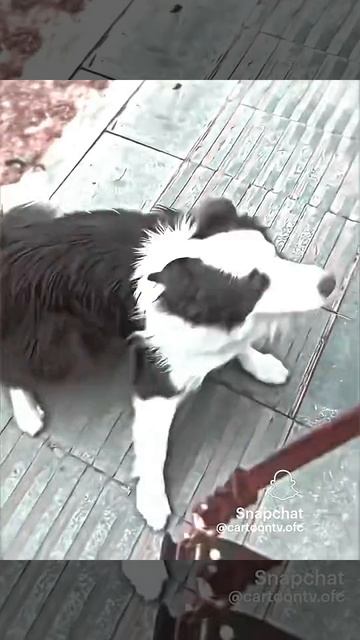 ULTRA SLOWED