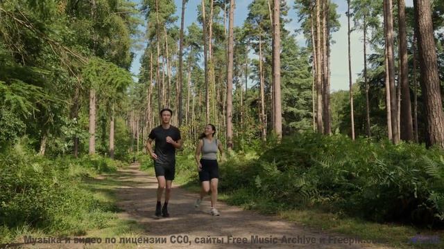 Музыка ведёт туда, где заканчиваются заботы - Walk in the Park -- Small Tall Order -- Easily