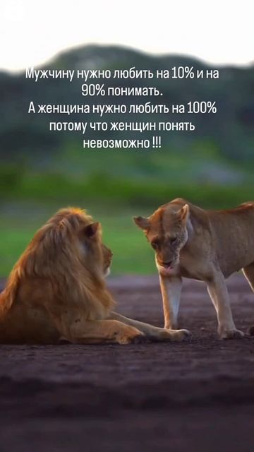 Правда