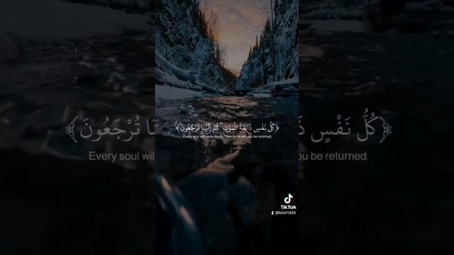 quran