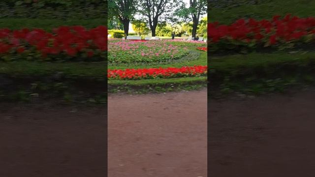 Самая старая площадь Санкт-Петербурга.