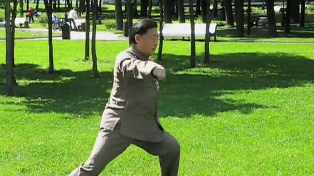 Chen Taiji in Russia - Chen Xiaowang