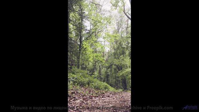 Когда дорожные знаки менее важны, чем её смех под эту песню - 05 In-da-Endz -- Shaolin Dub -- Preser