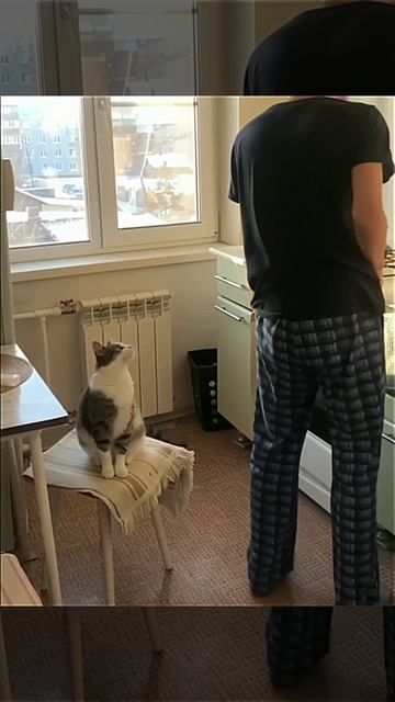 Если ты счастливый котик скажи мяу.