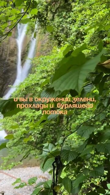 IMG_1058.MP4