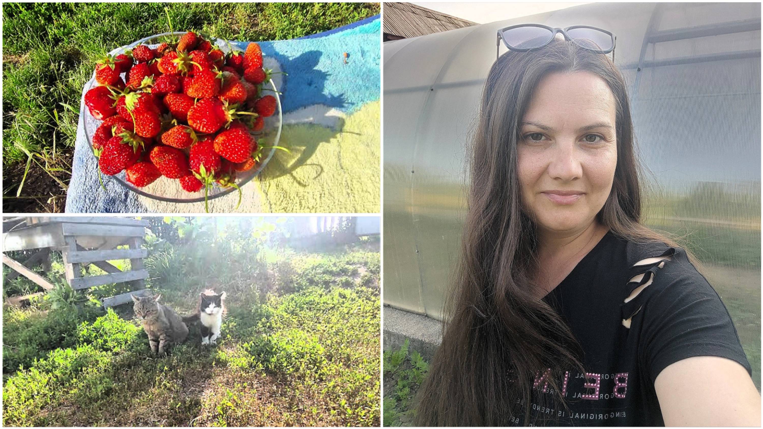 МНОГО клубники🍓 | Приятный КОМПЛИМЕНТ🥰 | ЖАРА🥴