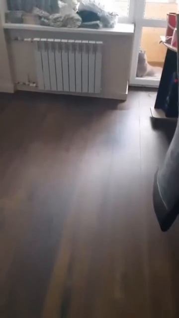 Когда у хозяюшки всё схвачено.mp4