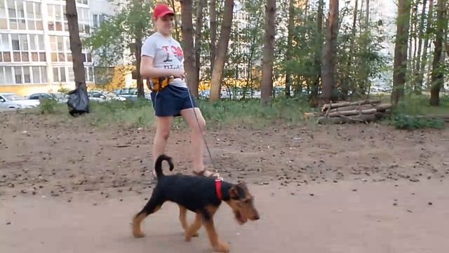 VID_20250612_204552_882.mp4