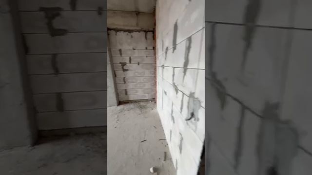 WhatsApp Video 2025-06-12 at 12.29.12
